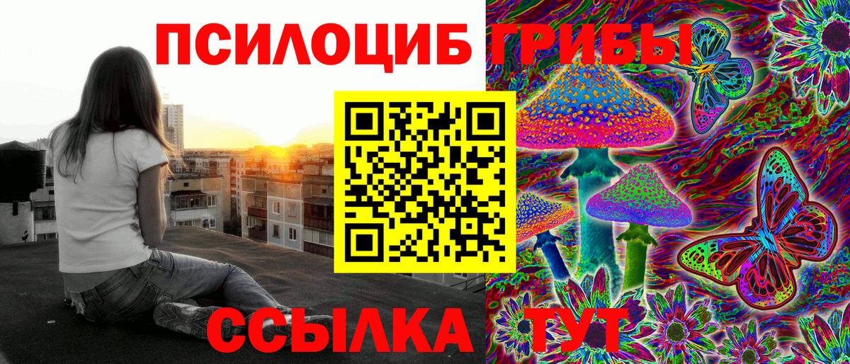 Дербент  Псилоцибиновые грибы Cubensis  купить закладку  Вход с VPN 