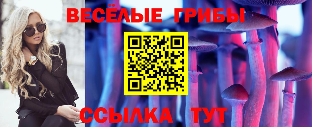 Галлюциногенные грибы Psilocybine cubensis Дербент